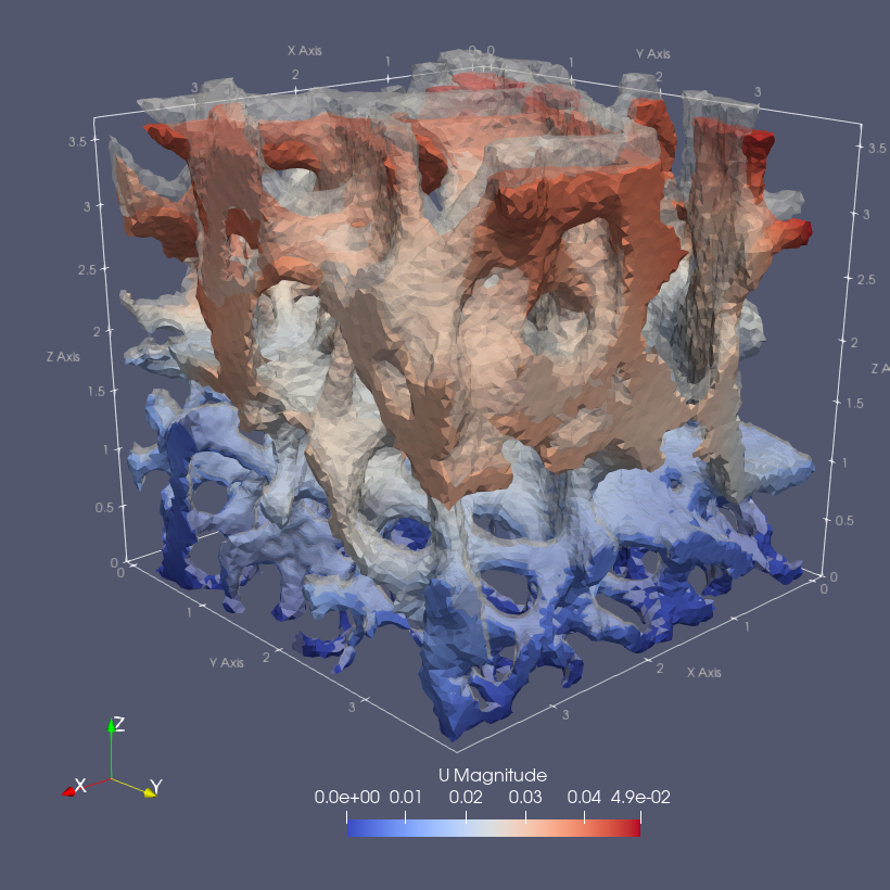U3_displacements